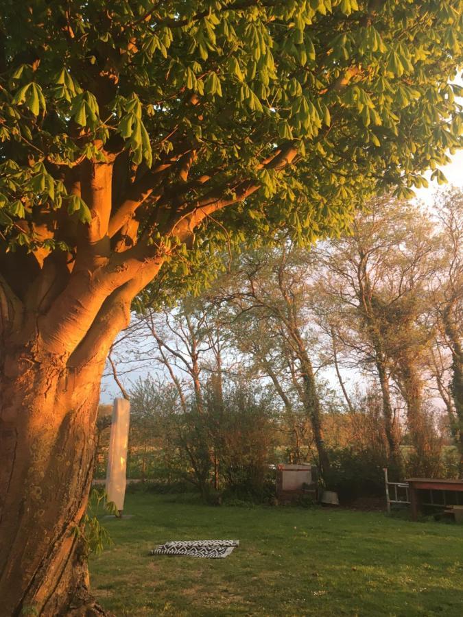Lowlander Bnb Гемскерк Екстер'єр фото